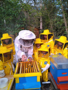 Children at the apiary