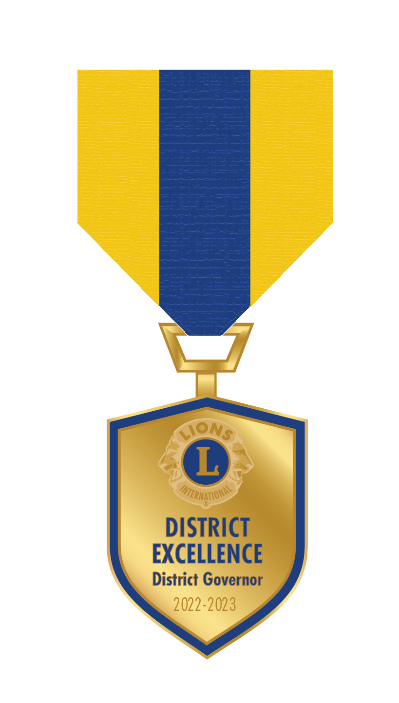 District Excellence Award Pin