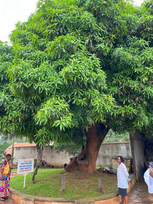 El hospital de Nsambya comenzó su andadura cuando una monja comenzó a ofrecer servicios médicos bajo la sombra de un árbol de mango.