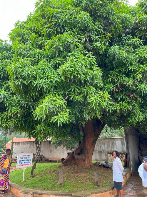 Nsambya Hospital began its journey when a nun started offering medical services underneath the shade of a mango tree.