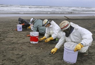 Environmental volunteers after shipwreck