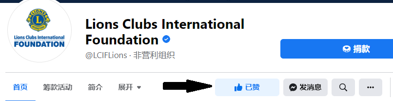 此图像显示在脸书中的何处点赞页面。